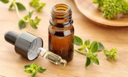 Kekik yağının kansere karşı etkileri