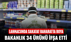 Lahmacunda sakatat baharatta boya! Bakanlık 34 ürünü ifşa etti