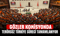 Meclis'teki Terörsüz Türkiye Komisyonu raporlarını sundu, gözler ortak raporda
