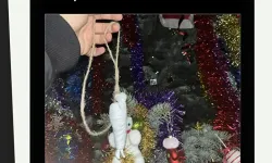 Öğrenci misiniz provokatör mü?