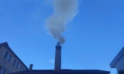 Rize'de baca yangını paniğe neden oldu