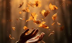 Rüyada Hayız Olmak Ne Demek? Rüyada Hayız Görmek Ne Anlama Gelir? Dini Rüya Tabirleri