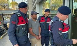 Ağaç kesimi sırasında komşusunun ölümüne sebep olan şahıs tutuklandı