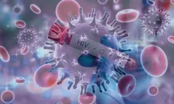 Gelecek 10 Yılda HIV Nedeniyle Milyonlarca Kişi Ölebilir! Uzmanlar Neden Alarm Veriyor, Risk Ne Kadar Büyük?
