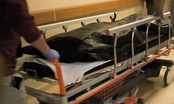 İnegöl’de Site Bekçisi Kalp Krizi Sonucu Hayatını Kaybetti