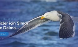 Yeminli Tercüman Fiyat Teklifi Alırken 2026'da Dikkat Etmeniz Gereken 5 Kriter