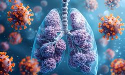 02 Ocak Ne Günü? 02 Ocak Dünyada ve Türkiye’de Ne Günü? 02 Ocak Ne Burcu? Veremle Savaş