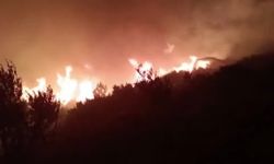 Antalya'da orman yangını