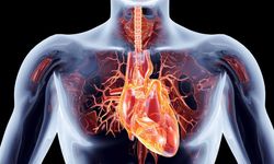 Aort Kapak Hastalıkları Nedir? Kalpteki Bu Sorun Hangi Belirtilerle Ortaya Çıkıyor ve Neden Ciddiye Alınmalı?