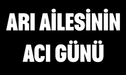 Arı Ailesinin Acı Günü