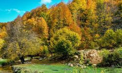 Boğazova Yaylasındaki Mera Alanı Teklifi Mecliste Reddedildi