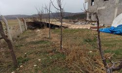 Bozkır'da fırtına çatıları uçurdu, ağaçları devirdi