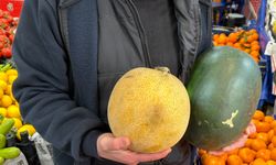 Bu meyveler aşerenler için Singapur'dan geliyor