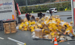 Bursa–İstanbul Otoyolunda Kasaları Yola Saçıldı, Gişeler Kapatıldı!