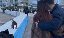 Bursa'da çok ilginç görüntüler! Tripod yerine kedi kullandılar