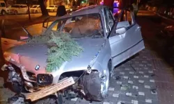 Bursa'da Otomobil Ağaca Çarptı: 2 Ağır Yaralı