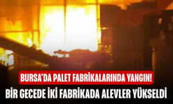 Bursa'da palet fabrikalarında yangın! Bir gecede iki fabrikada alevler yükseldi