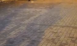 Bursa'da sokak ortasında dehşet!