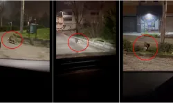 Bursa'da sokak ortasında şoke eden anlar: Kameraya yansıdı!