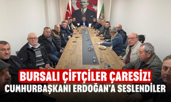 Bursalı çiftçiler çaresiz! Cumhurbaşkanı Erdoğan'a seslendiler