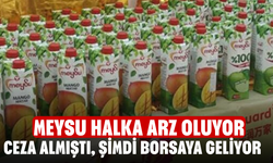 Ceza almıştı, şimdi borsaya geliyor! Meysu halka arz oluyor