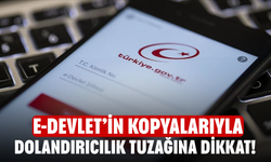 E-Devlet’in Kopyalarıyla Dolandırıcılık Tuzağına Dikkat!