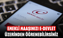 Emekli Maaşınızı e-Devlet Üzerinden Öğrenebilirsiniz! 3600 Gün Üzeri Prim Gününe Sahip Olanlar Dikkat!