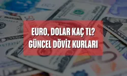 Euro, Dolar Bugün Kaç TL? 31 Ocak 2026 Döviz Kurları