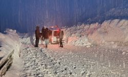 Hakkari-Van yolunda iki çığ arasında kalan 5 araç kurtarıldı