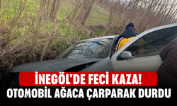 İnegöl'de feci kaza! Otomobil ağaca çarparak durdu
