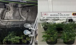 İnegöl'de Jandarmadan Uyuşturucu Operasyonu: Düzenek Ele Geçirildi