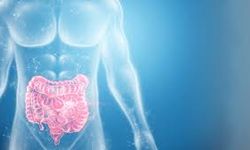 Kabızlık Günlük Hayatı Zorlaştırıyor: Bağırsaklar Neden Yavaşlıyor, Bu Sorun Nasıl Kolayca Çözülüyor?