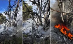 Mudanya'da Çıkan Çalı Yangını Hızlı Müdahaleyle Kontrol Altına Alındı