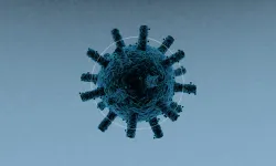 Nipah Virüsü Neden Yeniden Gündemde, Ne Kadar Tehlikeli ve Kendimizi Nasıl Koruyabiliriz?