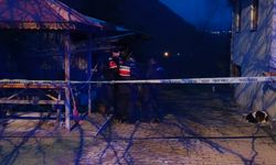 Ordu'da defalarca bıçaklanan yaşlı adam hayatını kaybetti