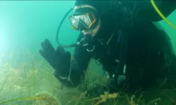 Prof. Dr. Sarı'dan Belediye Başkanlarına Keşif Dalışı Daveti