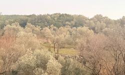 Tarlada aniden fenalaşan bir kişi hayatını kaybetti