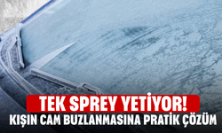 Tek Sprey Yetiyor! Kışın Cam Buzlanmasına Pratik Çözüm