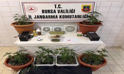 Bursa'da jandarmadan uyuşturucu operasyonu