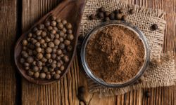 Yenibahar Nedir, Ne İşe Yarar? Mutfaktan Sağlığa Kullanım Alanları Neler?