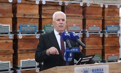 Bursa’da 616 Üreticiye 3.400 Kovan Desteği