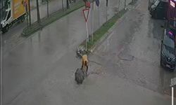 Belediyenin çakıl dökerek kapatmaya çalıştığı çukura takılan kadın hastanelik oldu