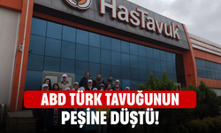 ABD Türk tavuğunun peşine düştü!