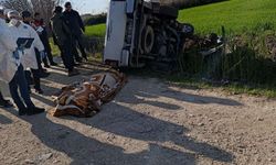 Yaşlı adam tarla komşusunu ezerek öldürdü