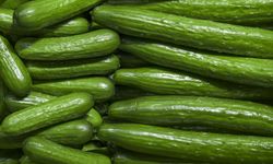 Bir Ülkede Salatalık “Yeni Altın” Oldu! Fiyatlar Uçtu