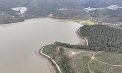 Bursa Ovası'nı sulayan Gölbaşı göleti dolmak üzere!
