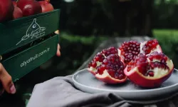 Bursa’da Alya Meyve ve Gıda’ya İflas Kararı