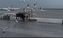 Bursa'da deniz karayla birleşti, işletmeler dükkan açamadı!