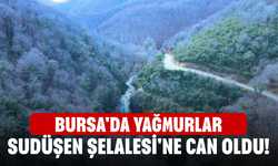 Bursa'da yağmurlar Sudüşen Şelalesi'ne can oldu!