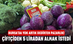 Bursa'da yok artık dedirten pazarlık! Çiftçiden 5 liradan almak istedi